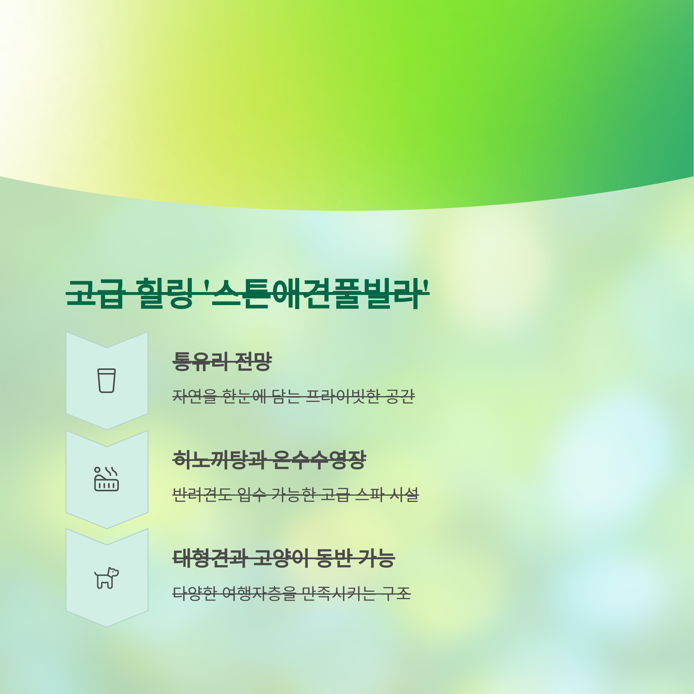 스톤애견풀빌라