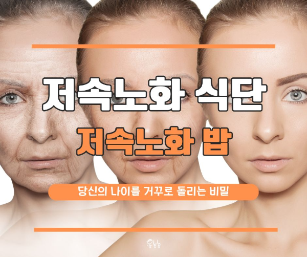 저속노화 식단