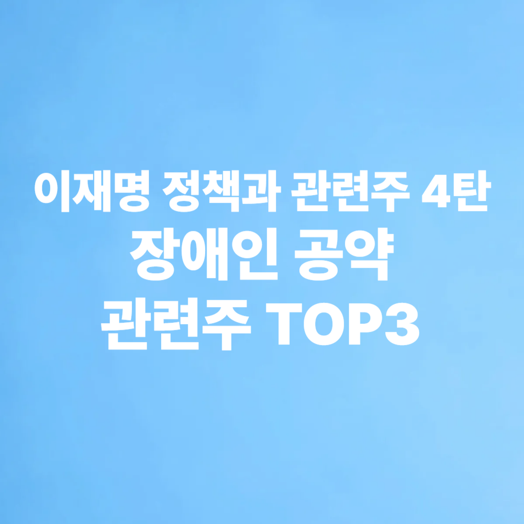 이재명 정책과 관련주 장애인 공약