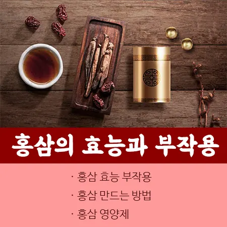 홍삼 효능 부작용 만드는 방법 영양제 추천