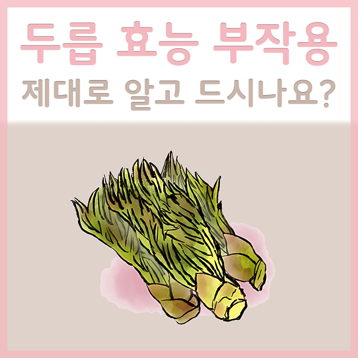 두릅