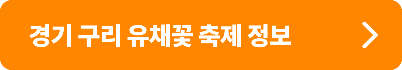 2024구리유채꽃축제정보