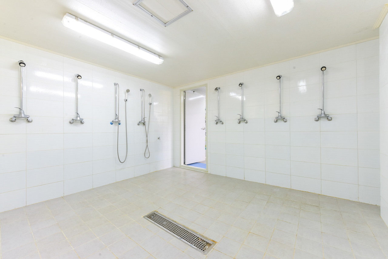 경기-용인-용인랜드-숲속캠핑장-사진-입니다.