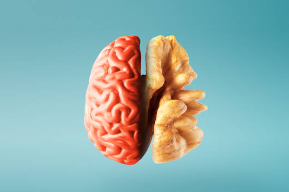 기억력 감퇴에 좋은 음식