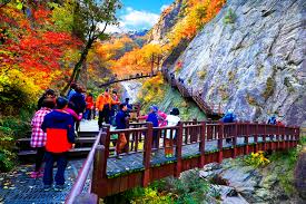 설악산 오색약수 주차장 꿀팁