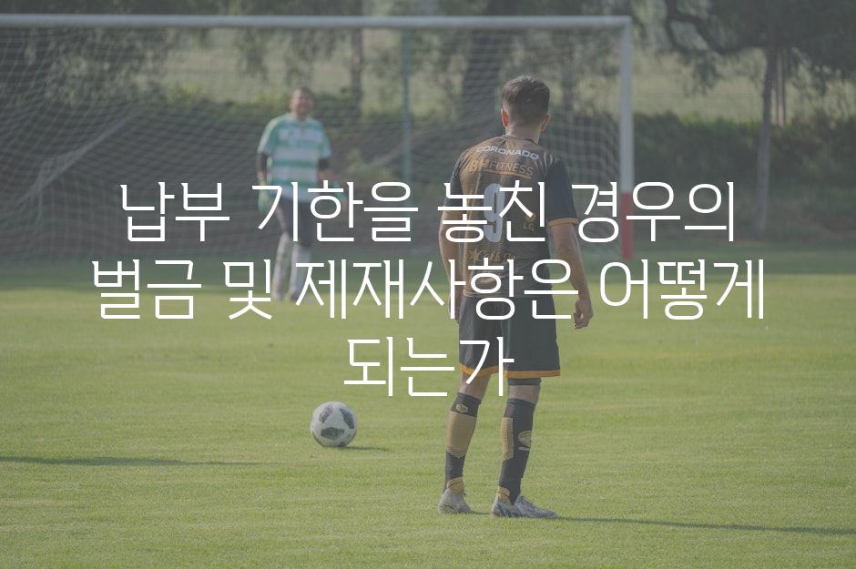 납부 기한을 놓친 경우의 벌금 및 제재사항은 어떻게 되는가