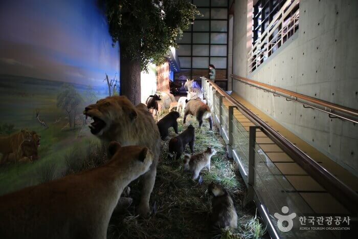 경남 고성 가볼만한곳 베스트 10