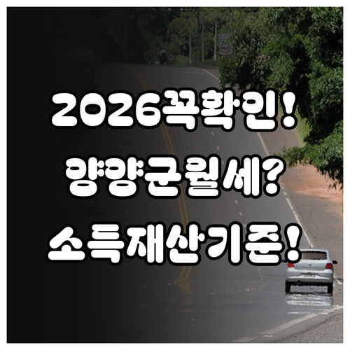 2026 양양군 청년월세지원 소득 재..