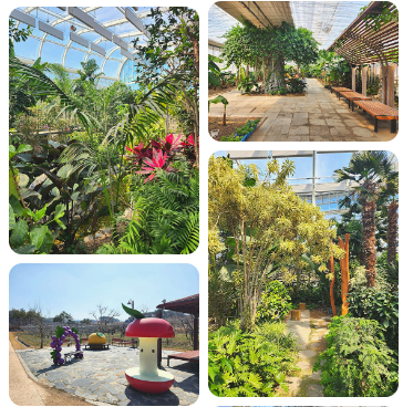 영동 가볼만한곳