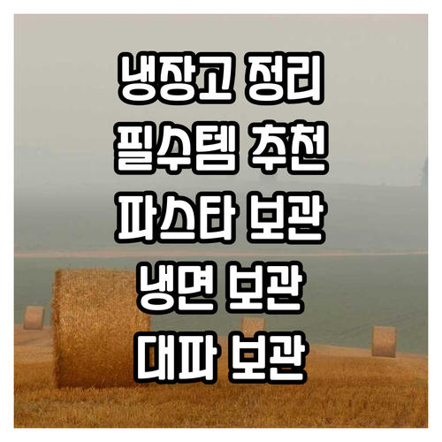 냉장고 정리 필수템 파스타, 냉면, ..