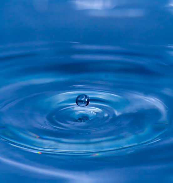 하루 동안 &lsquo;속도 줄이기&rsquo; 실험: 천천히 살아본 하루