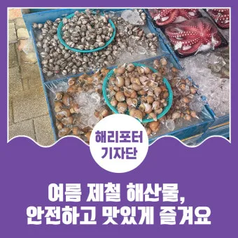 여름철 제철 해산물 추천 리스트 및 요리 활용법 안내_27