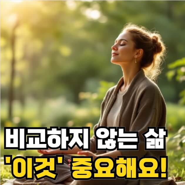 비교하지 않는 삶