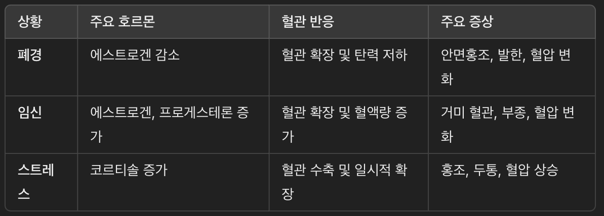 호르몬 변화가 혈관에 미치는 영향