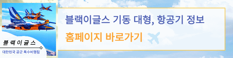 블랙이글스 홈페이지