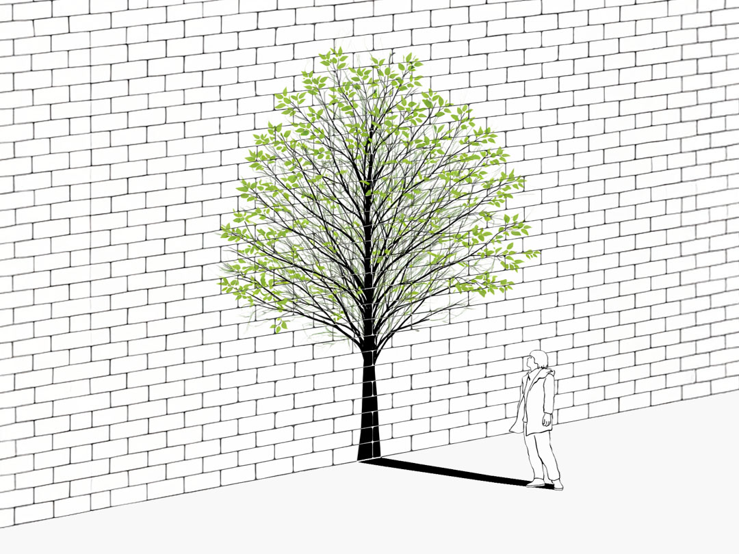 2026년 1월 10일 말씀 카드 성경구절 이미지 ❘ 그분은 커지셔야 하고 나는 작아져야 한다. (요한 3,30)