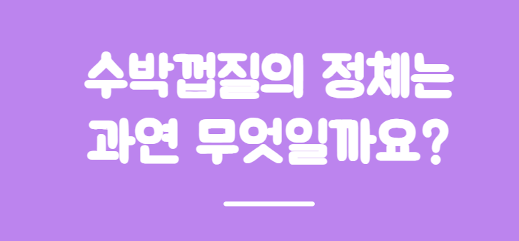 수박껍질 음식물 쓰레기