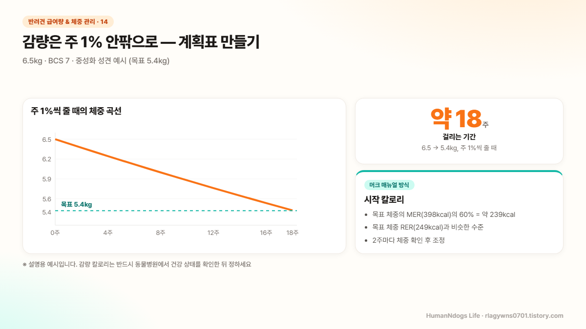 6.5kg 강아지가 주 1%씩 줄어 18주 뒤 목표 5.4kg에 도달하는 체중 곡선과 시작 칼로리 239kcal 계산