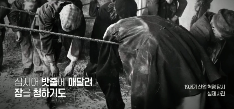 밧줄에 매달려 잠을 자는 사람들