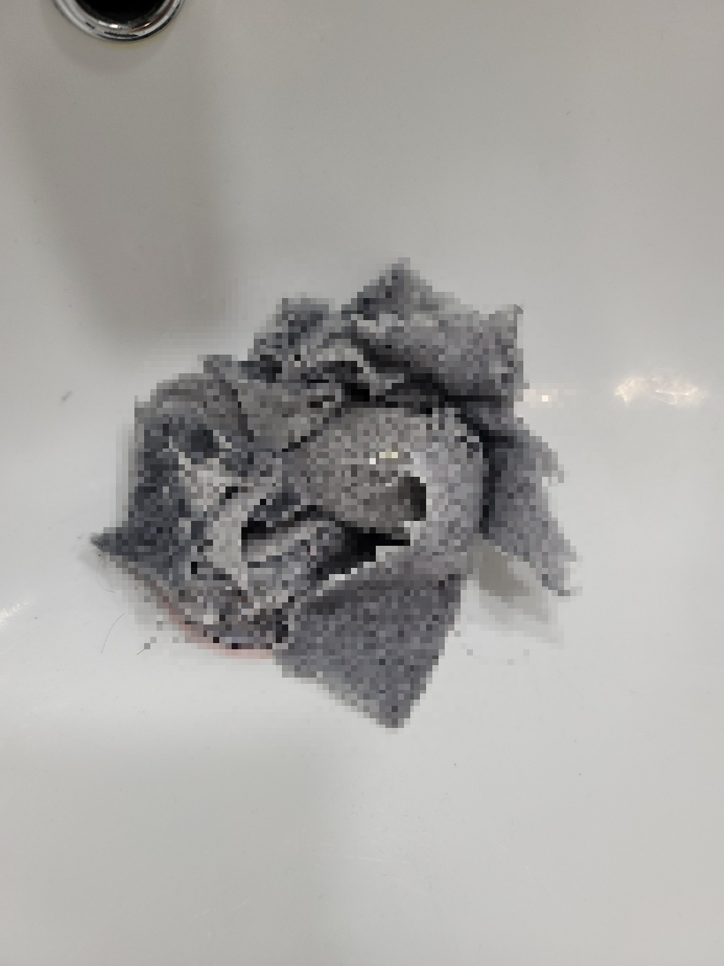 엘지워시타워건조기먼지