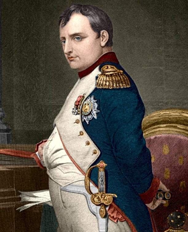 제복을 입고 옆으로 비스듬히 서 있는 나폴레옹의 상반신을 그린 그림을 찍은 사진