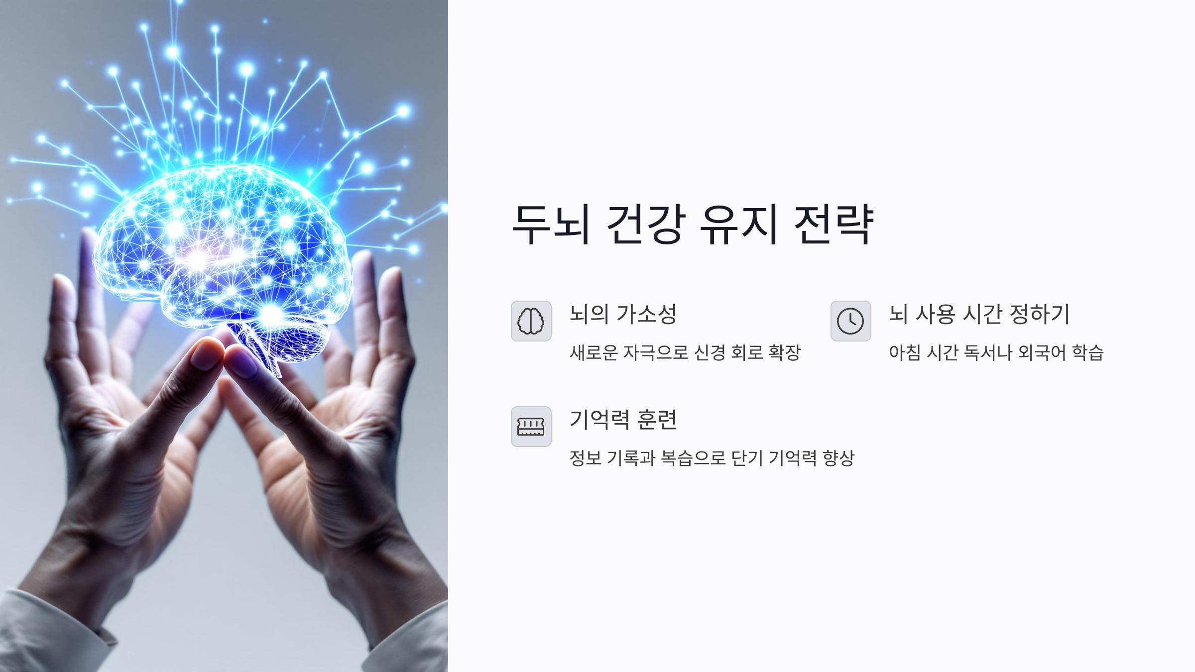 두뇌 건강 유지 전략은 왜 중요할까?