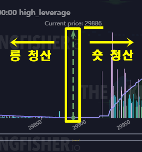 비트코인 청산맵 현재 가격 막대