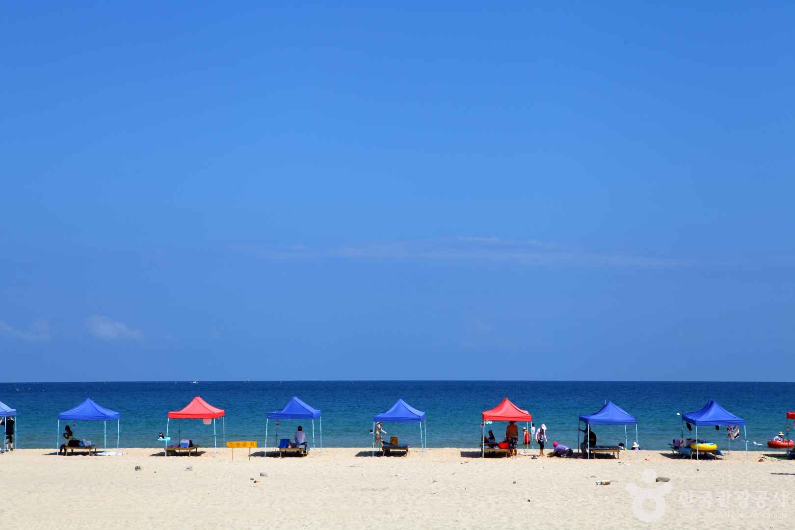 고성 송지호 해변