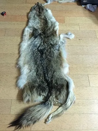 코요태 댄스곡 노래 모음 26곡 연속 감상 정리_22