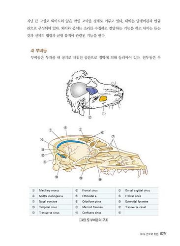 동물 보건사