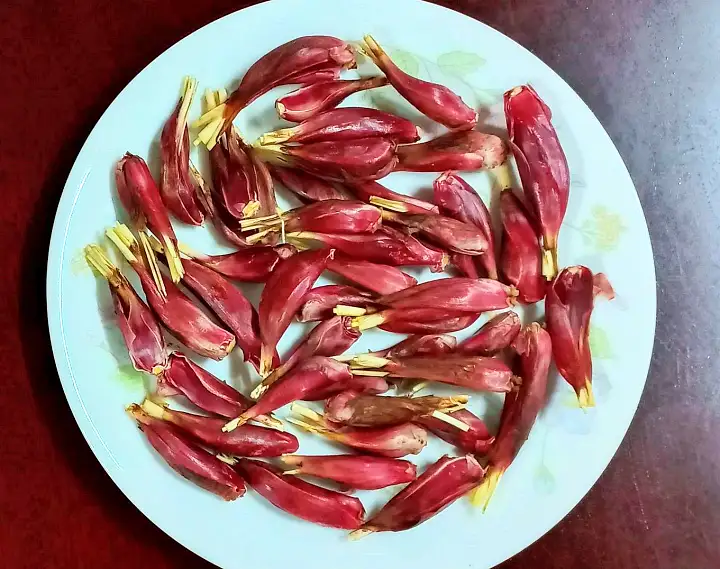 6시내고향 충남 청양 마운틴양파 항암에 좋은 양파 파는 곳 전국 택배 온라인 전화 주문 추천