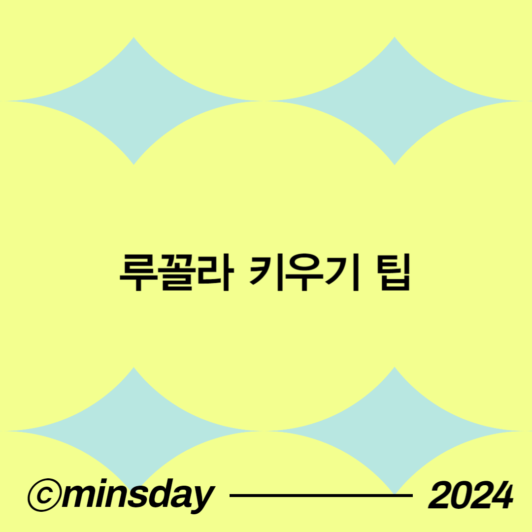 루꼴라 키우기