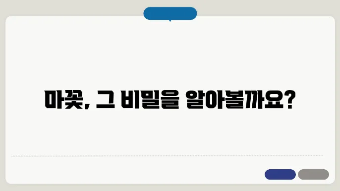 마꽃