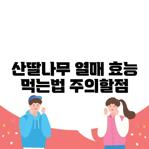 산딸나무 열매 효능 먹는법 주의할점