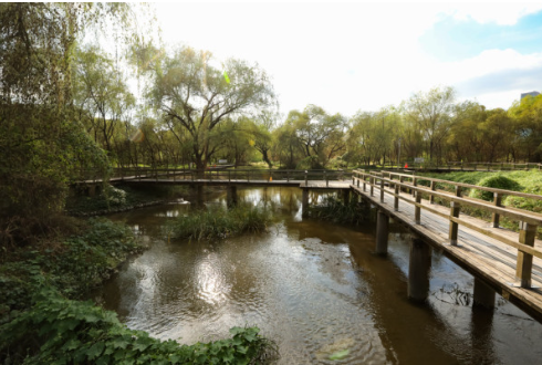 한강페스티벌 여의도한강공원