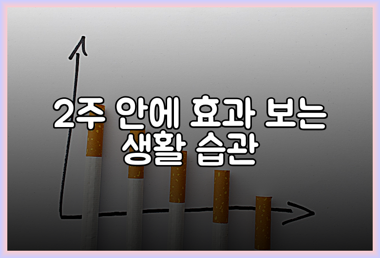 2주 안에 효과 보는 생활 습관