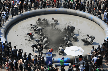 보령머드축제 사진