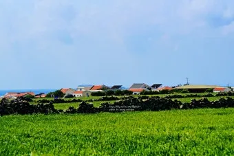 제주 가파도 가는 운진항 배 시간표 요금 예약 예매_13