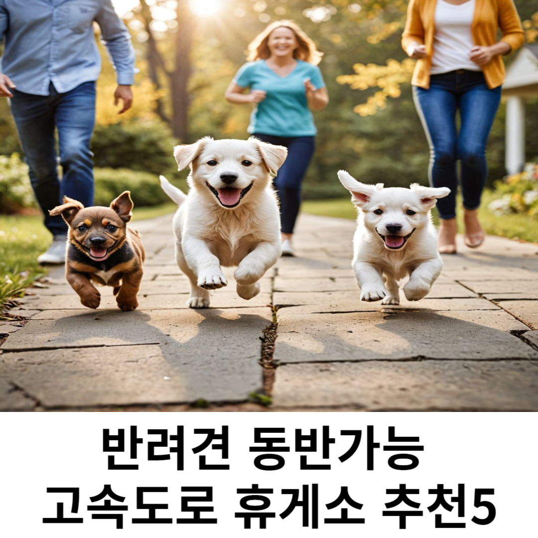 반려견 동반가능 휴게소 관련 사진