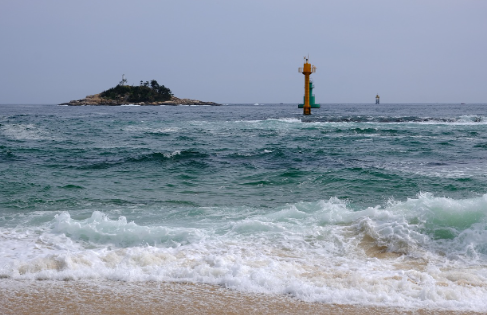 속초 바다를 입다 - '바다, 옷을 짓다'