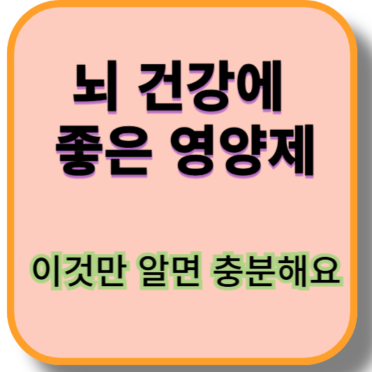 뇌 건강에 좋은 영양제, 이것만 알면 충분해요!