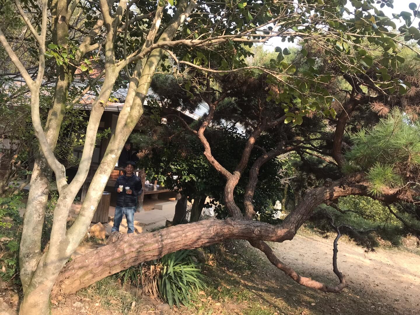 쌍산재 정원