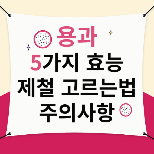 용과효능,제철,고르는법,주의사항