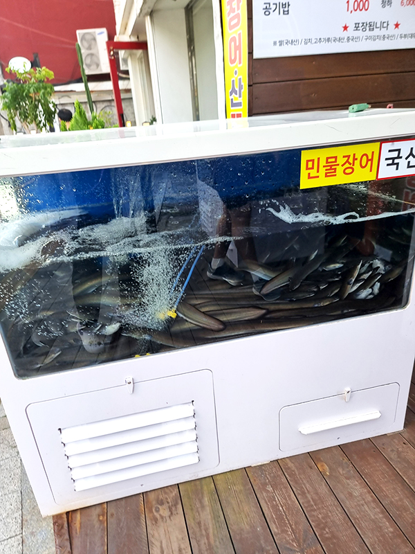 목동수장어