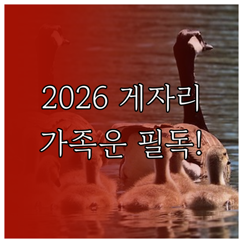 2026년 게자리 가족운 핵심 키워드..