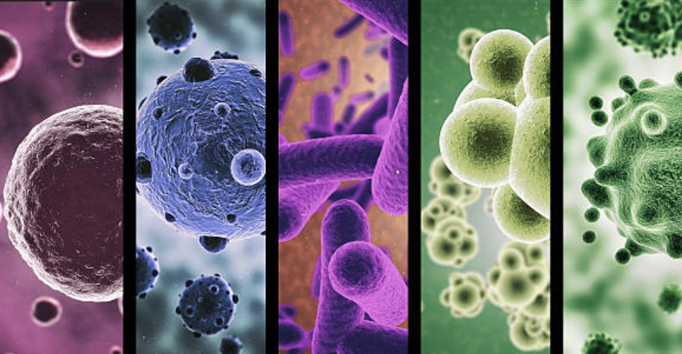 Cancer metabolomics에서 재현성이 특히 어려운 이유