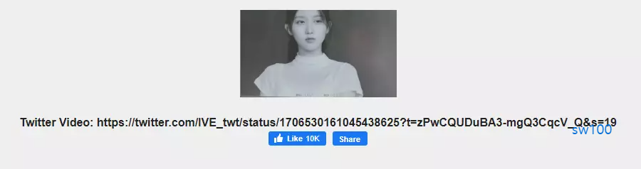 트위터 영상 다운로드 상세 과정 소개 4