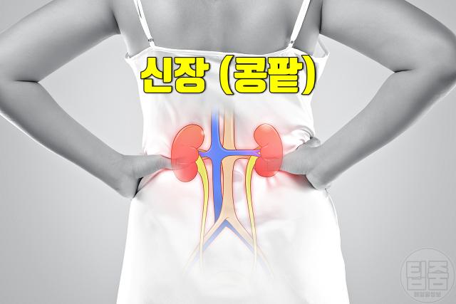 단백뇨 증상 소변거품