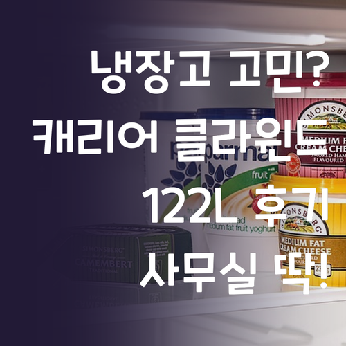 사무실 냉장고 고민 끝 캐리어 클라윈..