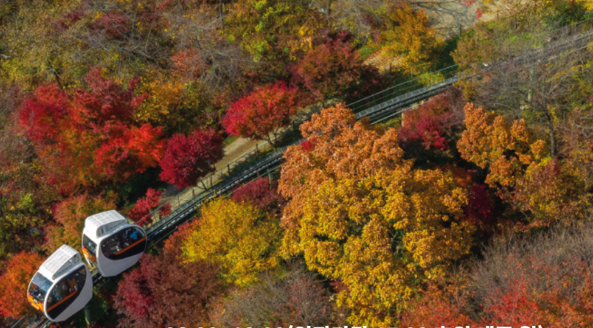 2024년 화담숲 단풍 절정 시기1